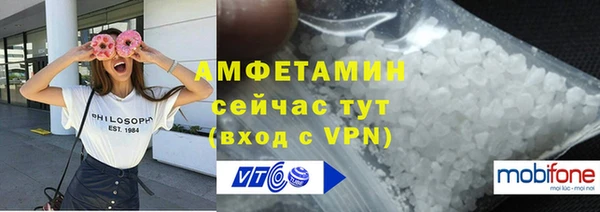 СК Алексин