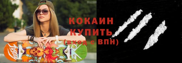 СК Алексин