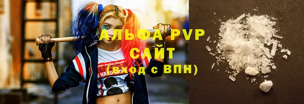 СК Алексин