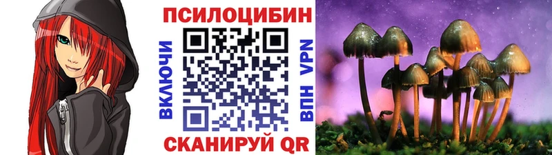 Галлюциногенные грибы Psilocybine cubensis  Бабаево 
